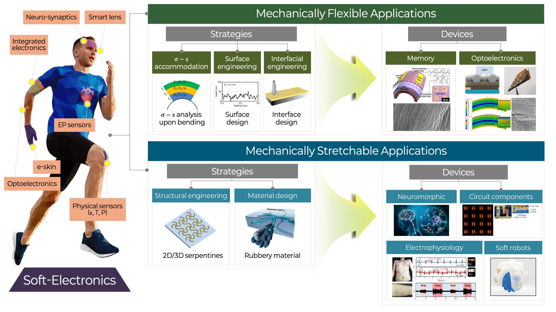 Soft-electronics research overview: material and interface strategies (strain accommodation, surface and interfacial engineering, structural engineering, rubbery materials) turned into mechanically flexible and stretchable devices, from memory and optoelectronics to neuromorphic, circuit components, electrophysiology, and soft robots